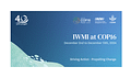 IWMI at COP16 UNCCD
