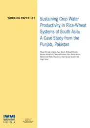 WorkingPaper-115