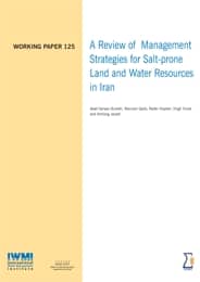 WorkingPaper-125