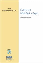WorkingPaper-138