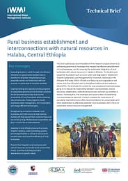 Rural business establishment and interconnections with natural resources in Halaba, Central Ethiopia (04/01/2025) 