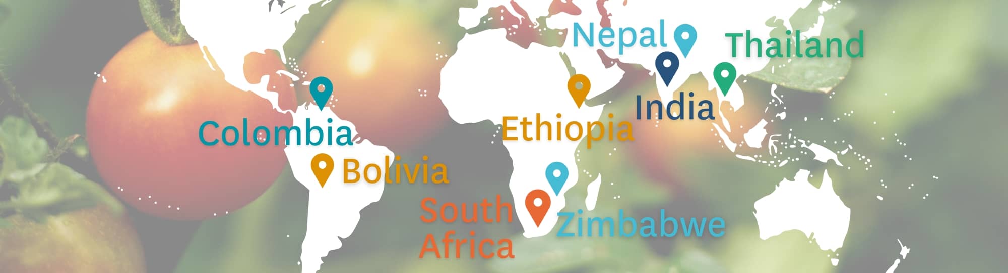 IWMI has been involved with MUS projects in Asia, Africa, and South America.
