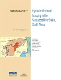 WorkingPaper-17