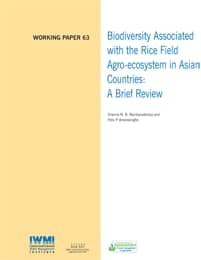 WorkingPaper-63