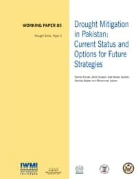 WorkingPaper-85