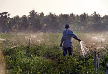 Watering crops at sunset. Photo: Hamish John Appleby / IWMI