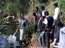 GroundTruth staff Nkosingithandile Sithole, Ayanda Lephane and Nick Pattinson (I-r) field test the MiniSASS citizen science smartphone app (Photo: GroundTruth)
