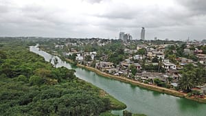 Can constructed wetlands close the loop on wastewater?