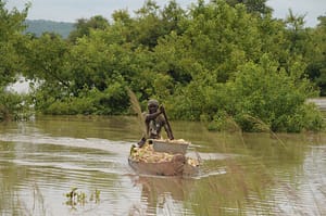2025 07 25 Why wetlands must be central to building hydrological resilience 2