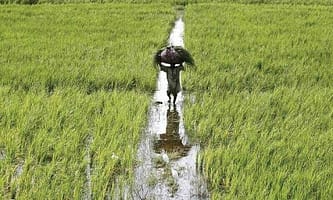Aaj: Drip irrigation a blessing for water-stressed villagers in Tank