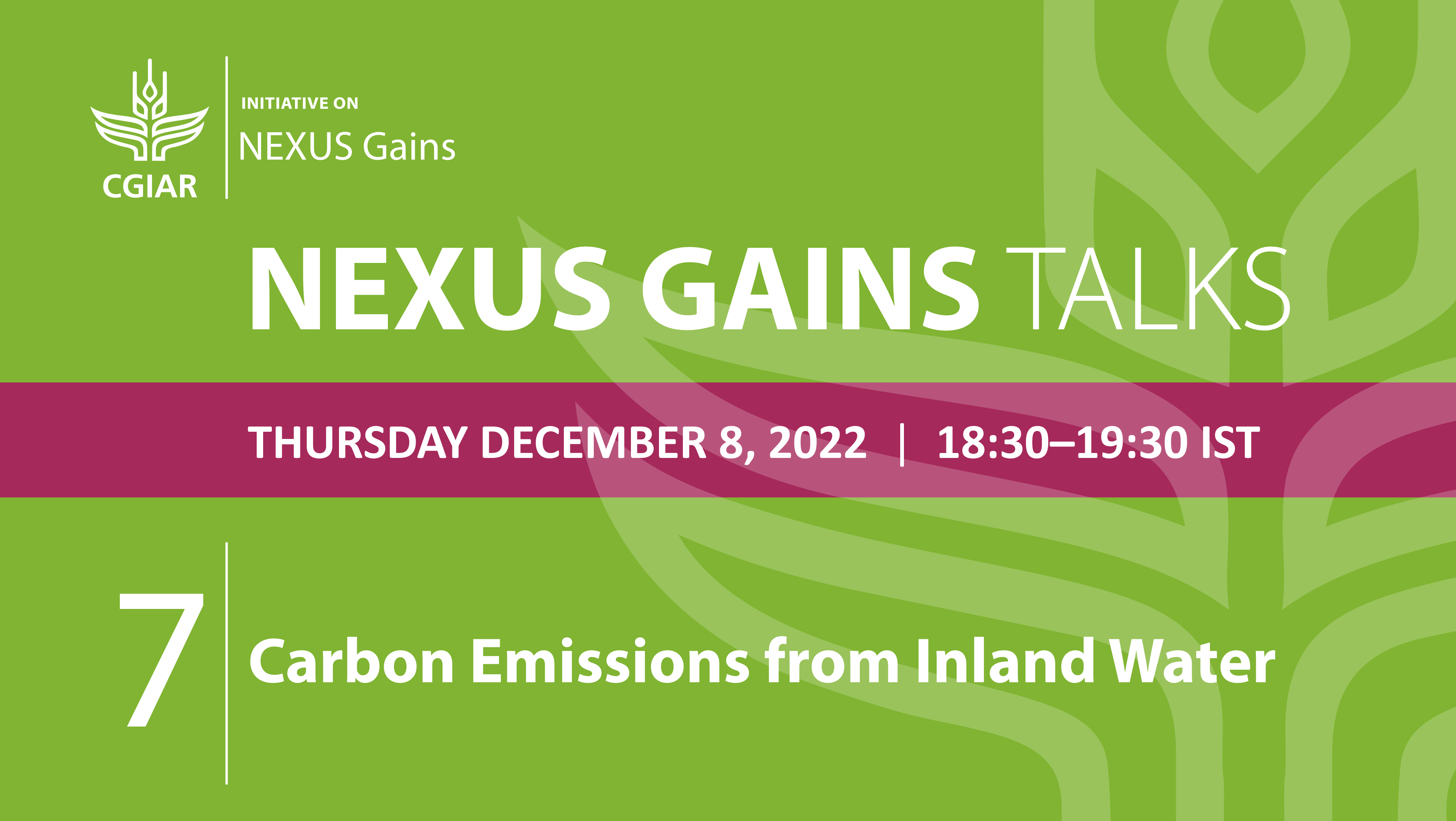 NEXUS Gains Talk 7: Carbon Emissions from Inland Water