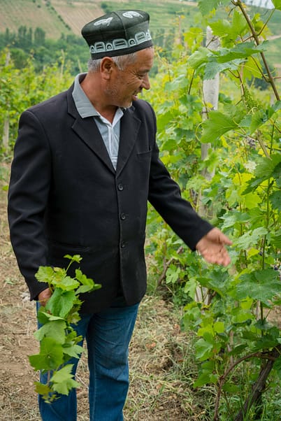 Grape Farmer from WCA Kuva Urta Buz Anori, Kuva District, Ferghana Province, Uzbekistan