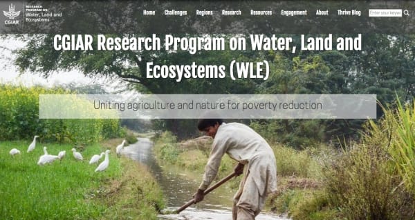 View the new WLE website
