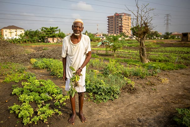 Harvesting cities