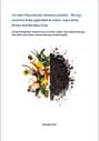 Circular bioeconomy business models - energy recovery from agricultural waste: cases from Kenya and Burkina Faso (01/31/2023) 