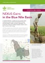 NEXUS Gains in the Blue Nile Basin: Ethiopia and Sudan (01/31/2025) 