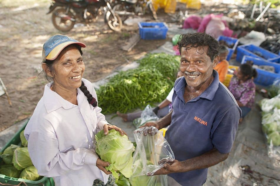 Packing vegetables to be transported to the market. Photo: Hamish John Appleby / IWMI