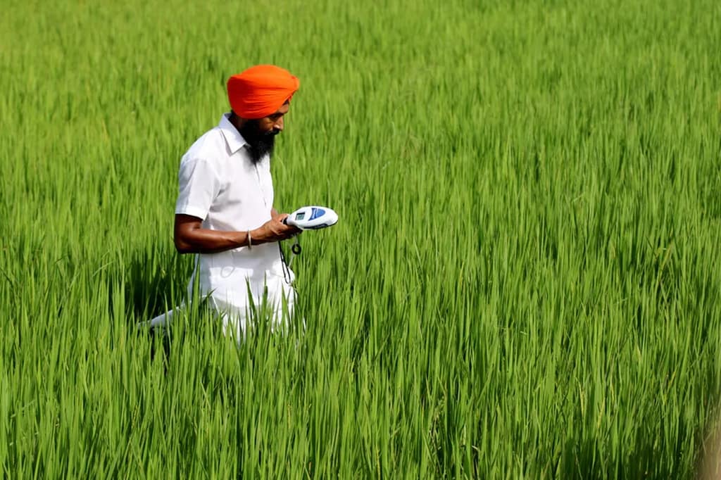 Technology can be used to help farmers produce good crops-Leo Sebastian-IRRI-CCAFS