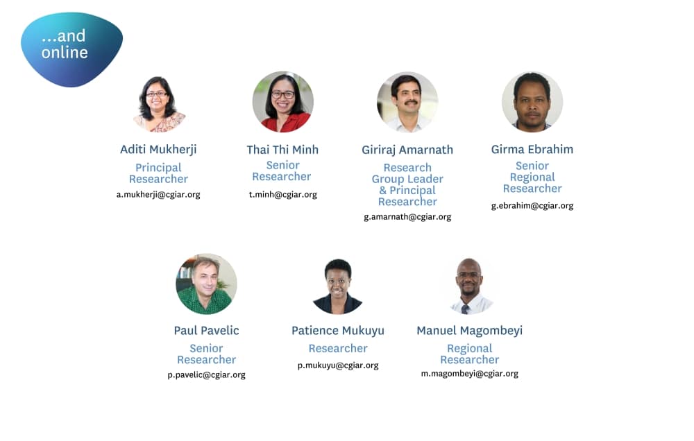 Online participants - Click for larger view