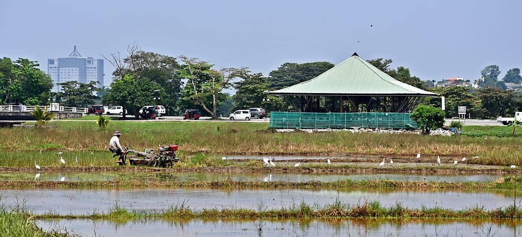 Farmers at work in a field within city limits