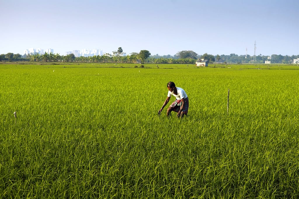 5th Asia Agriculture Insurance Conference