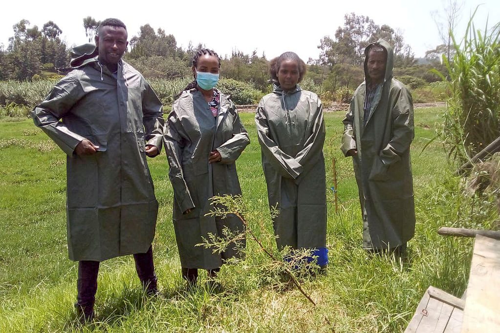 Citizen scientists during one of the monitoring sessions in Akaki, Ethiopia. Photo: Tilaye Worku Bekele