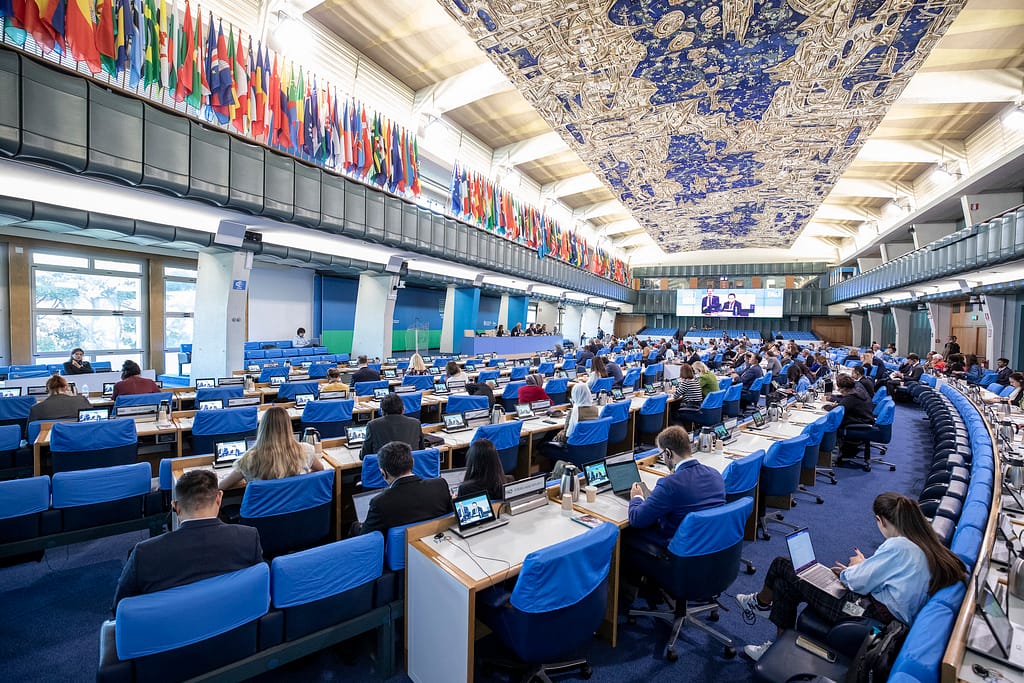 Conference floor at the Committee on Food Security 51st Session CFS51. Photo: ©FAO/Giulio Napolitano.