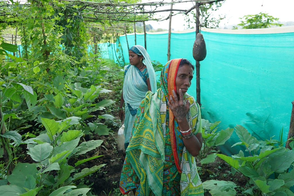 Farmers Kusum Devi and Sukhmanta Devi from Chimkatola village in India's Madhya Pradesh, adopted agroecological practices in the hope of improving yields and thereby household income. Photo: Tanmoy Bhaduri/IWMI