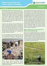 Balancing ecology with human needs in wetlands