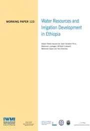 WorkingPaper-123