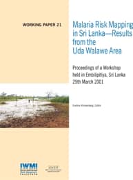 WorkingPaper-21