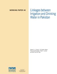 WorkingPaper-46