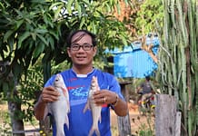January-February 2025 Research Journal Roundup  Fish at a community fishery in Stung Treng, Cambodia. Photo: Vichet Sean / WorldFish