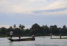 May-June 2025 Research Journal Roundup