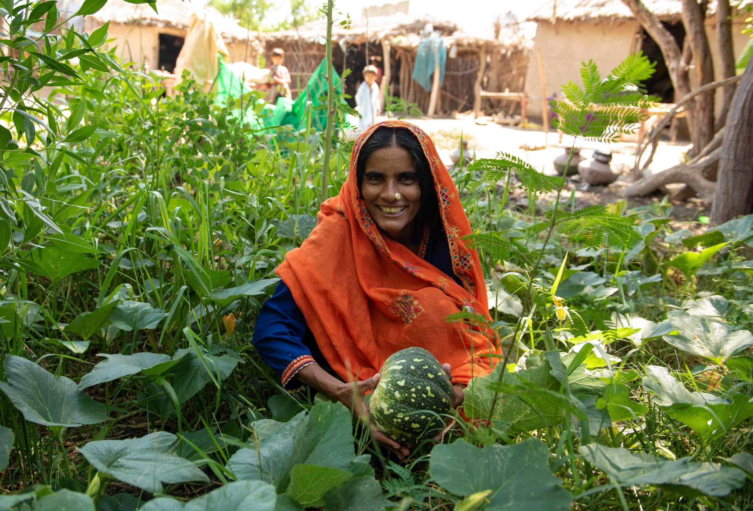 Women are hit hardest when climate strikes in Pakistan 