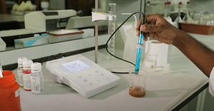 tests for safe vegetable cultivation