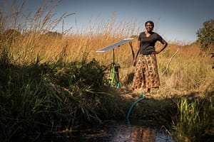 Accelerated Innovation Delivery Initiative Zambia