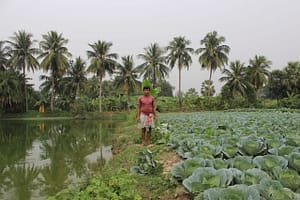 Agricultural fields and Aquacultural areas lie side by side