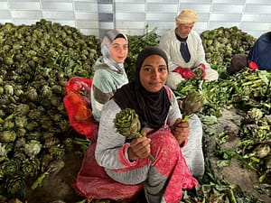 Izbat Al Hamra, Photo: IWMI