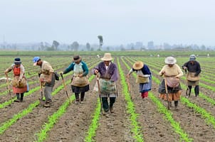 Farmers Canete basin Peru