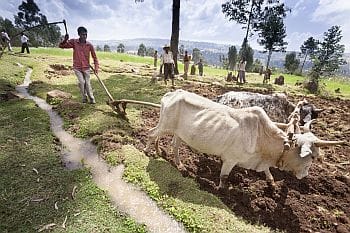 a landscape approach to resource management