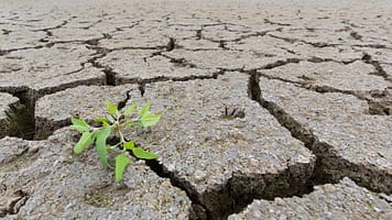 A riverbed left dry after prolonged drought. Photo: Arterra Picture Library / Alamy Stock Photo
