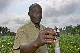 Ghanaian farmer