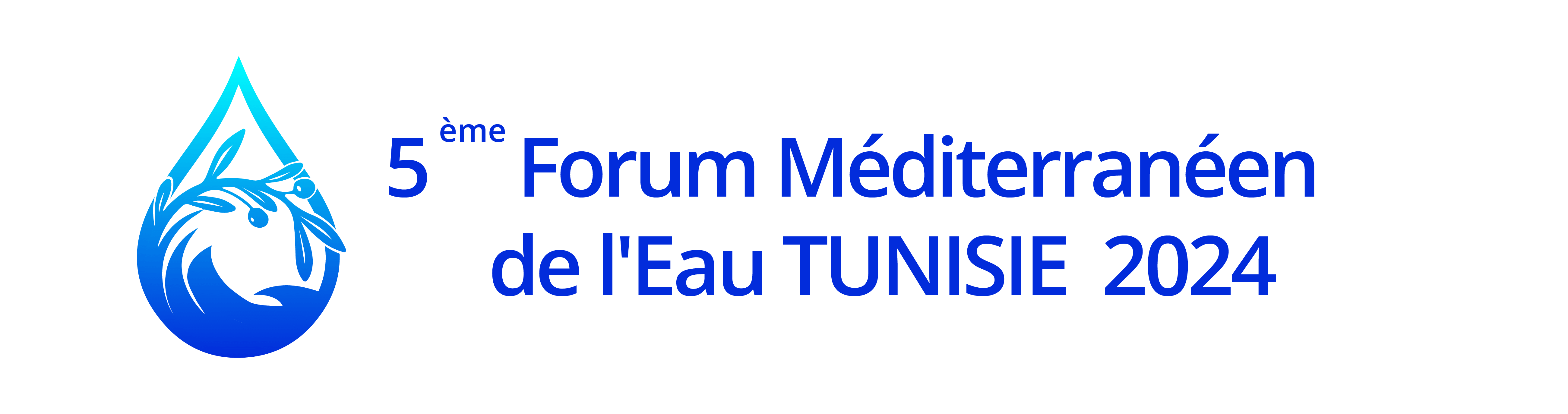 5th Mediterranean Water Forum