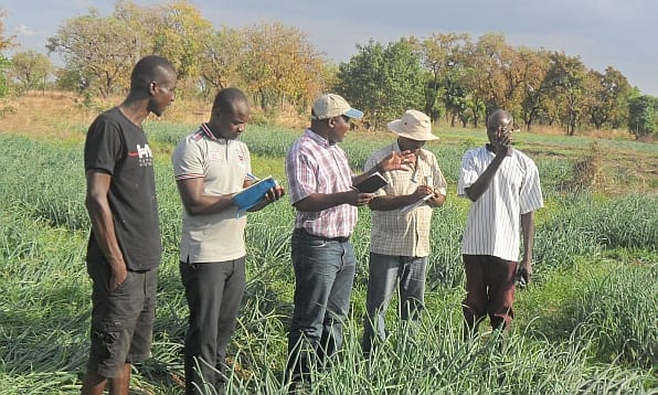 IWMI researchers interacting with farmers in northern Ghana. Photo: Richard Appoh IWMI researchers interacting with farmers in northern Ghana. Photo: Richard Appoh
