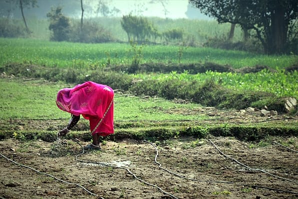 Drip irrigation systems like this one require public cooperation. Photo: Andrew Reckers Drip irrigation systems like this one require public cooperation. Photo: Andrew Reckers