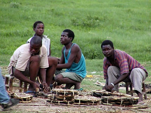 Ecosystem services in the Zambezi Basin – production of dry fish on the Barotse Plain, Zambia.