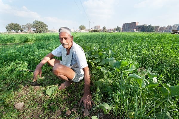 Photo: Hamish John Appelby / IWMI