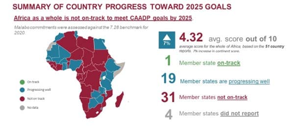 Agriculture sector progress in Africa / ReSAKSS