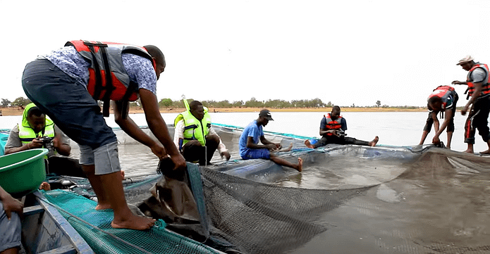 aquaculture in northern Ghana